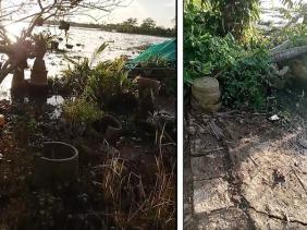 Vụ sạt lở bờ sông Cổ Chiên vẫn diễn biến phức tạp và chưa có dấu hiệu dừng lại