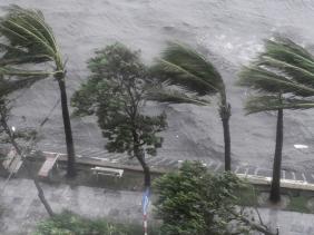 ENSO trung tính duy trì suốt hè, dự báo mùa mưa bão 2025 rất khó lường