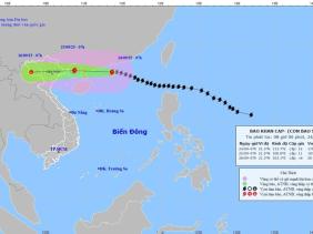 Tin mới nhất bão Ragasa- bão số 9: Cách Quảng Ninh khoảng 600km, vì sao cơn bão liên tục giảm cấp?