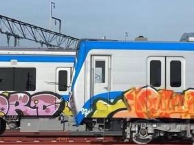 Khôi phục 2 toa tàu Metro tuyến TP. HCM - Suối Tiên bị vẽ bậy