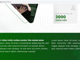 Tập đoàn Tân Hoàng Minh đang kinh doanh những gì?