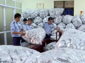 Phát hiện kho chứa 40.000 gói rong biển trôi nổi ở Bắc Ninh