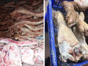 Rùng mình 38 tấn thịt lợn nhiễm dịch tả sắp tung ra thị trường: Hé lộ đối tượng "chủ mưu"