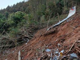 Tổng thống Putin và các nước chia buồn vụ máy bay rơi ở Trung Quốc