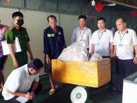 TP.HCM: Phát hiện 2 tấn thịt heo đông lạnh đã biến đổi màu sắc không rõ nguồn gốc