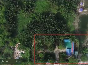 Tin tức hôm nay 4.11