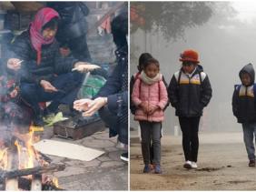 Thủ tướng yêu cầu các bộ ngành, địa phương chủ động phòng, chống rét đậm, rét hại