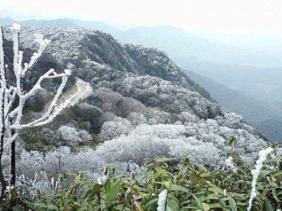 Tin tức không khí lạnh tăng cường, khu vực nào đón rét đậm?