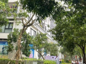 Vụ bé trai rơi từ tầng 22 chung cư tử vong: Bố mẹ không ở nhà