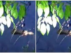 Vụ thi thể thanh niên trên sông ở Thừa Thiên - Huế: Nhân chứng tại hiện trường nói gì?
