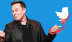 Người thắng, kẻ bại trong vụ kiện Elon Musk và Twitter