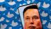 Thương vụ Elon Musk với Twitter 'gặp nguy hiểm'