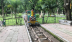 Hà Nội khai trương thêm phố đi bộ hồ Thiền Quang