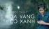Công chiếu 'Tôi thấy hoa vàng trên cỏ xanh' tại Tuần lễ phim Pháp ngữ