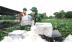 Tăng cường phòng, chống buôn lậu dịp cuối năm