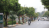 Hà Nội trồng mới 500.000 cây xanh