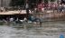 Ai Cập: Xe buýt rơi khỏi phà xuống sông Nile khiến 11 người thiệt mạng