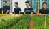 Khởi tố 4 đối tượng nhập lậu gần 100.000 cây Dó bầu từ Trung Quốc vào Việt Nam