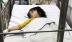 Vụ ngộ độc hàng loạt sau tiệc trung thu: Mẹ hoảng hốt nhìn con co giật trước mắt