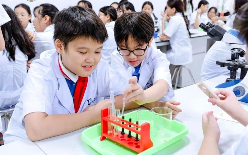 Các ngày nghỉ lễ, Tết của ngành giáo dục, bao gồm giáo viên và học sinh các cấp, luôn tuân thủ Bộ luật Lao động 2019 và các văn bản hướng dẫn hàng năm của Thủ tướng Chính phủ. Ảnh minh họa