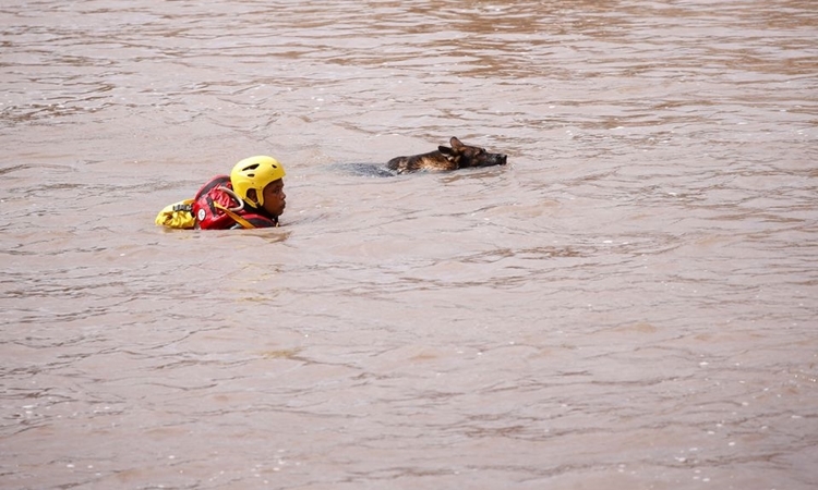 Thành viên đội cứu hộ đang tìm kiếm thi thể cùng chó nghiệp vụ tại thị trấn Umbumbulu, thành phố Durban, Nam Phi, ngày 18/4. Ảnh: Reuters