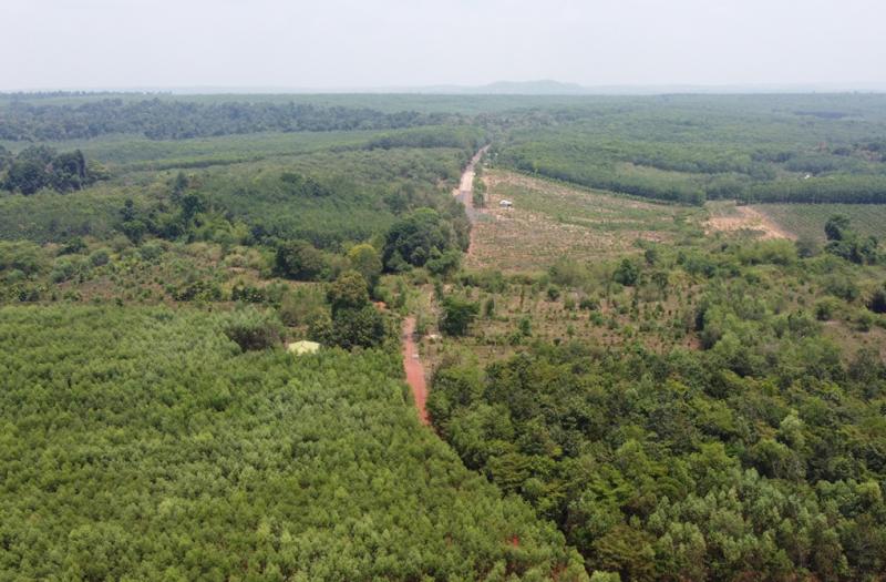 Rừng Khu bảo tồn thiên nhiên văn hóa Đồng Nai nơi có quy hoạch tuyến đường 13C. Ảnh: Phước Tuấn