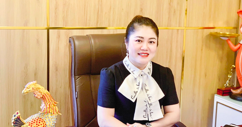 An ninh - Hình sự - Vì sao doanh nhân Phạm Mỹ Hạnh bị bắt?
