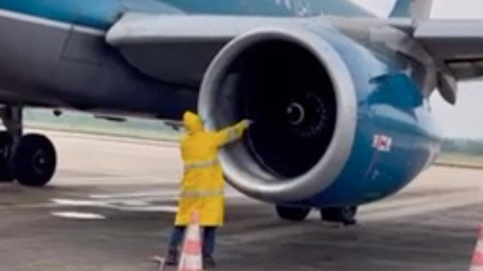 hy hữu: chuyến bay chậm cả tiếng đồng hồ vì... đàn ong bám vào động cơ