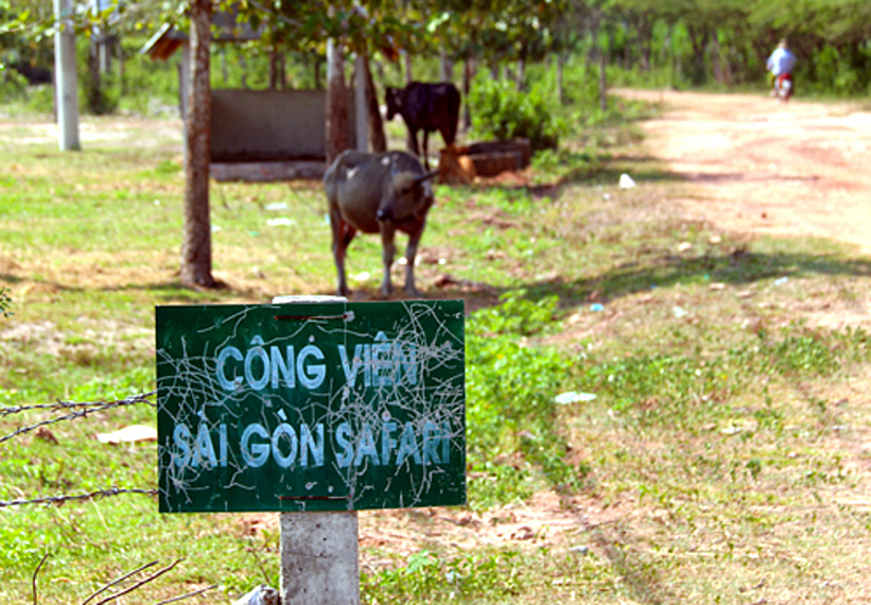 Dự án Sài Gòn Safari bị bỏ hoang suốt nhiều năm. Ảnh: Trung Sơn