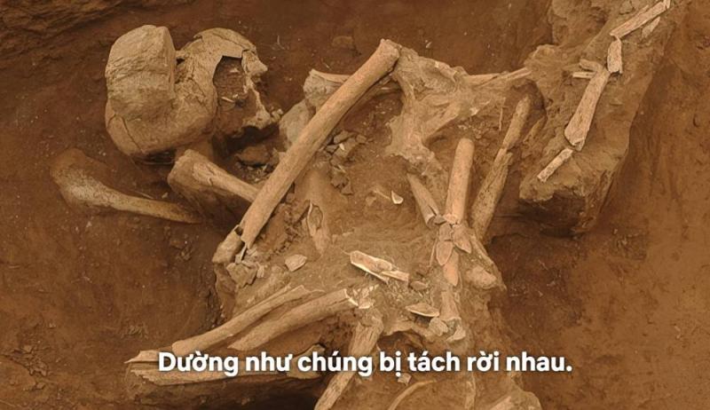 Những bộ hài cốt không nguyên vẹn được tìm thấy trong ngôi mộ. Ảnh: Netflix